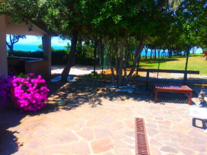garden views