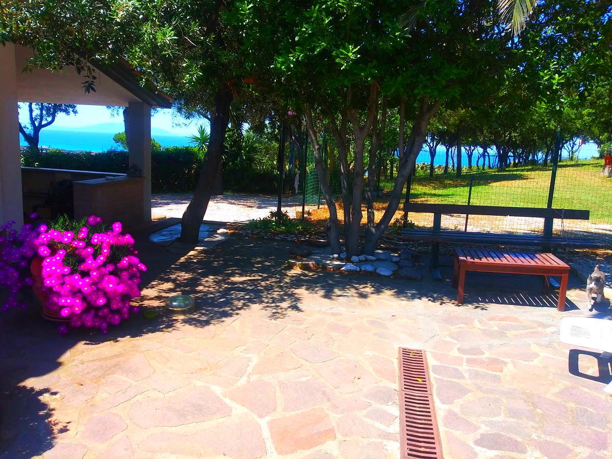 garden views