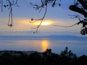stunning view from park cloudy sunset 2